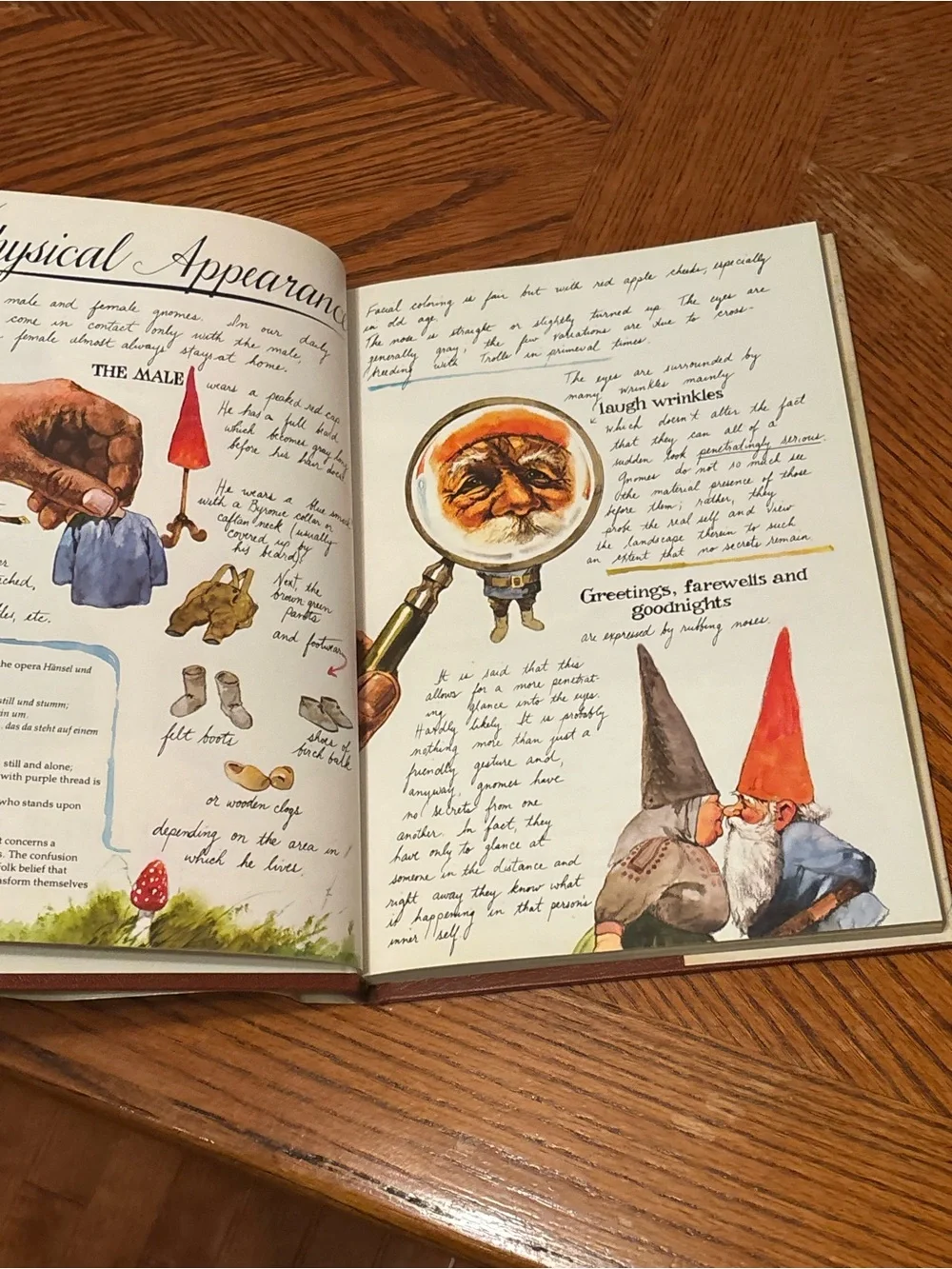 Gnomes by Wil Huygen & Rien Poortvliet – 1977 Vintage Hardcover Art Book